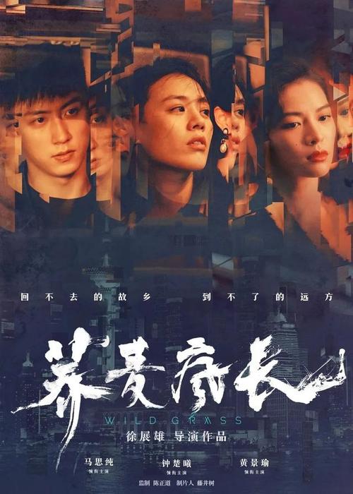 二学位证书长啥样